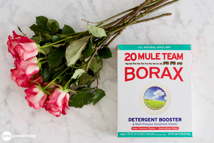 You can use borax to dry and preserve flowers.