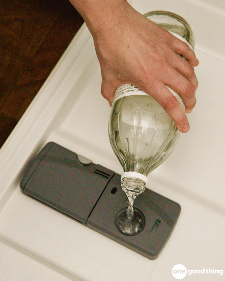 Pouring white vinegar into the dispenser of a dishwasher.