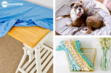 Four pictures of a dog laying on a table with a blue blanket resembling bed sheets.