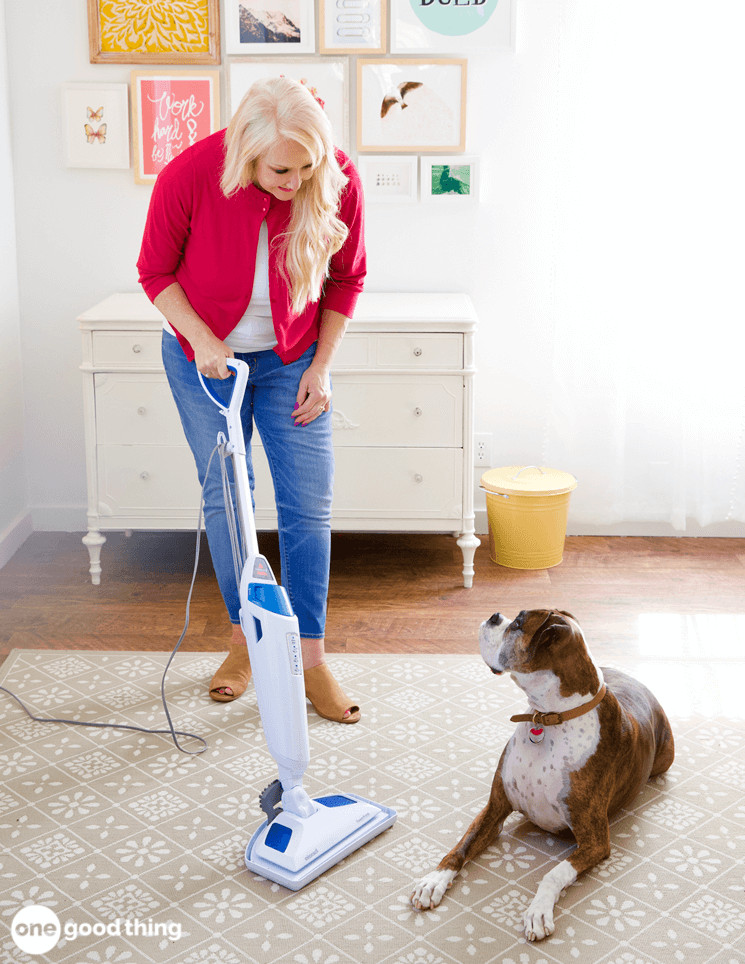 Steam Mop