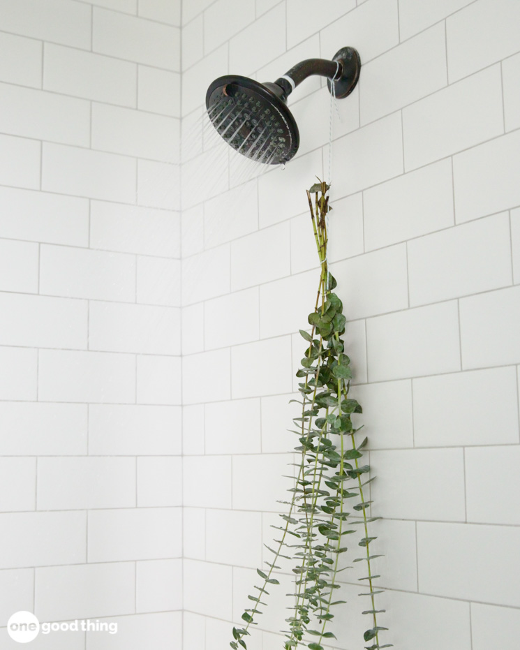 Fresh eucalyptus in the shower will make your bathroom smell like a posh spa, and it will help you breathe better, too.