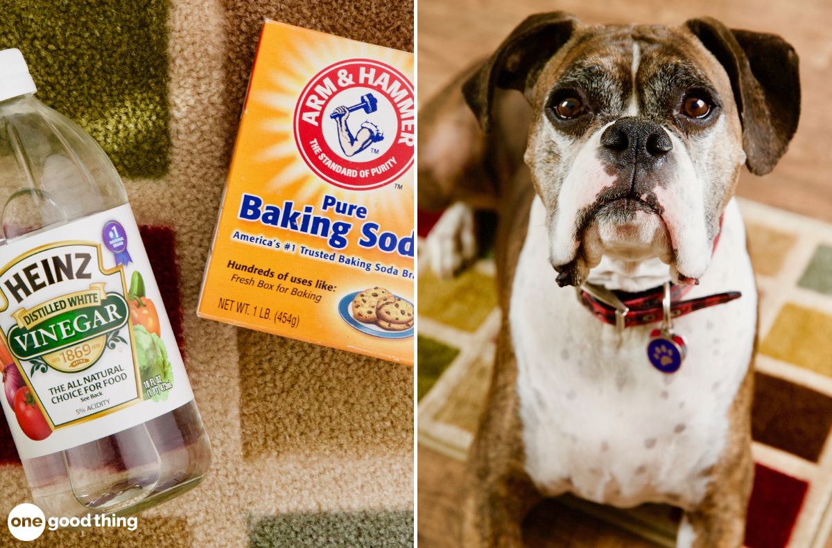 One easy way to remove pet stains on carpet is with white vinegar and baking soda.