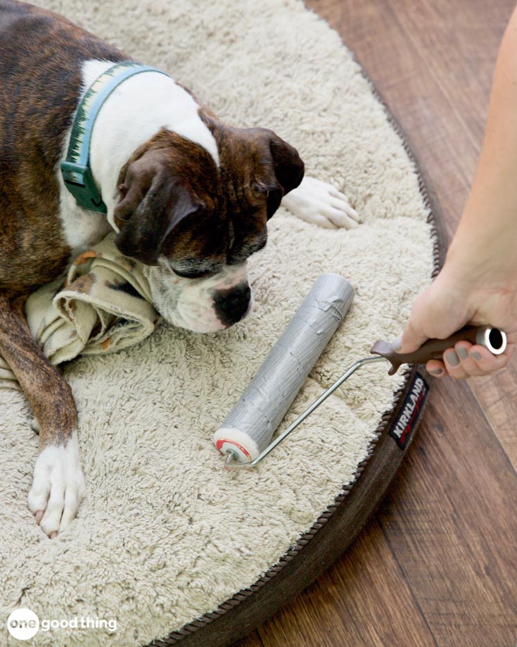 pet hair removal hacks