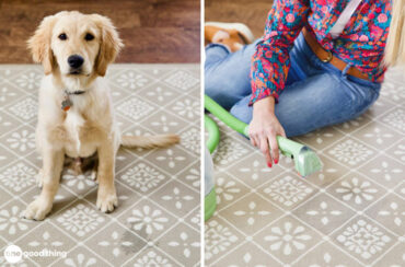 This little carpet and upholstery cleaner works like a charm on pet stains!