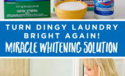 pinterest-image-miracle-whitening-solution