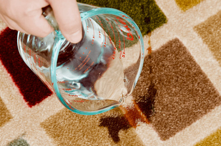 Step one in pet stain remover is to saturate the dog pee on the carpet with white vinegar.