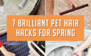 Discover 7 ingenious pet hair hacks perfect for spring.