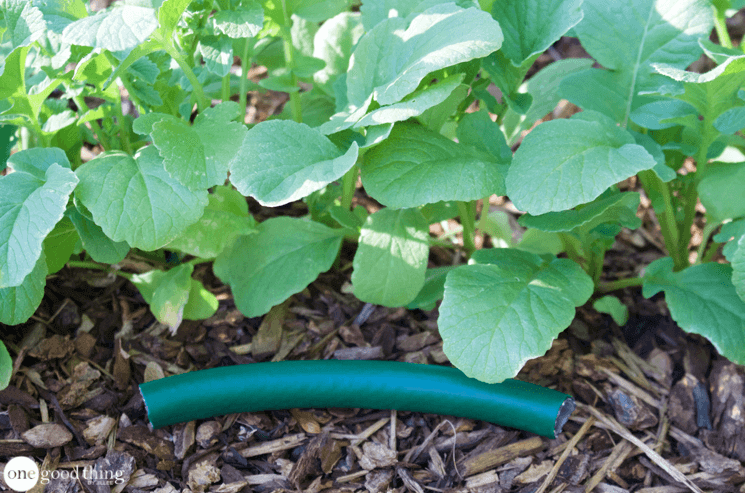 Uses for Garden Hoses