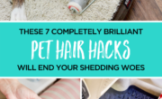 These 7 completely brilliant pet hair hacks will solve your shaving woes.