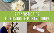 7 fantastic tips to eliminate musty odors.