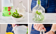 Learn how to make homemade cleaning vinegar that is beautifully scented.