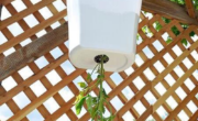 A white bucket hanging from a pergola with plants in it, next to a garden hose.