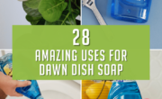 28 Amazing Uses For Dawn Dish Soap